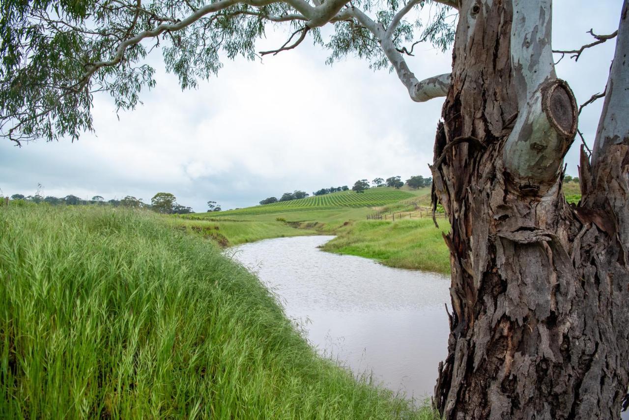 Triple Creek Guest House - Barossa Region Seppeltsfield Exterior foto
