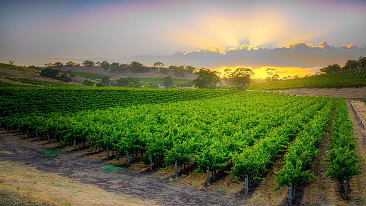 Triple Creek Guest House - Barossa Region Seppeltsfield Exterior foto