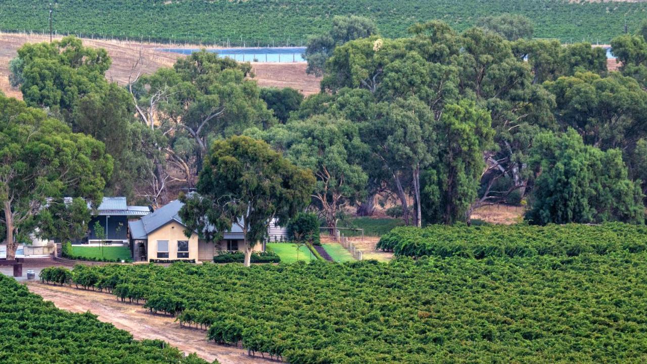 Triple Creek Guest House - Barossa Region Seppeltsfield Exterior foto